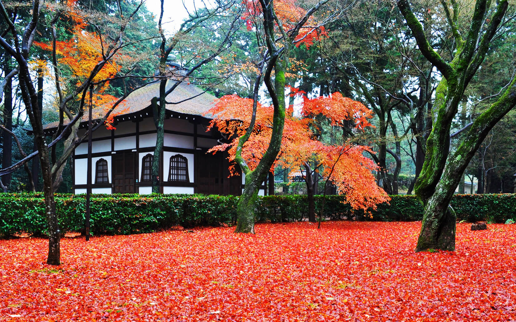Shinnyodo Temple