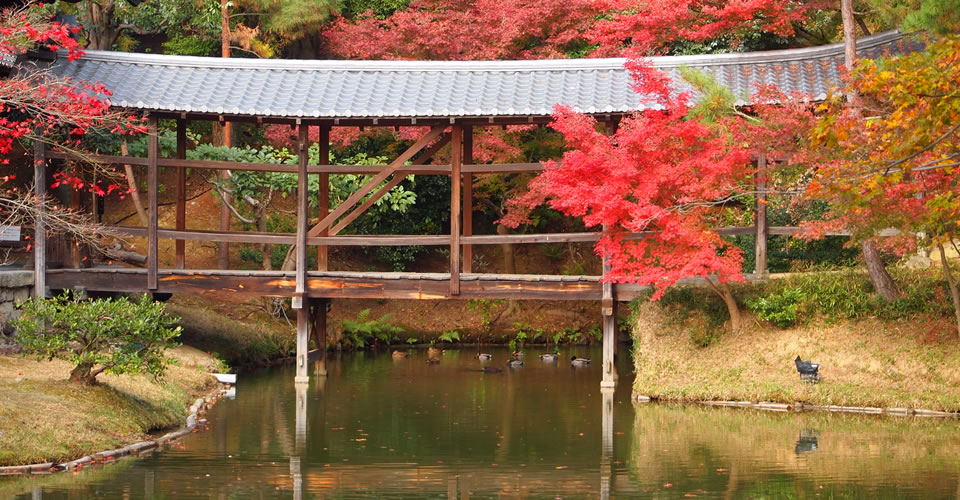 Kodaiji Temple