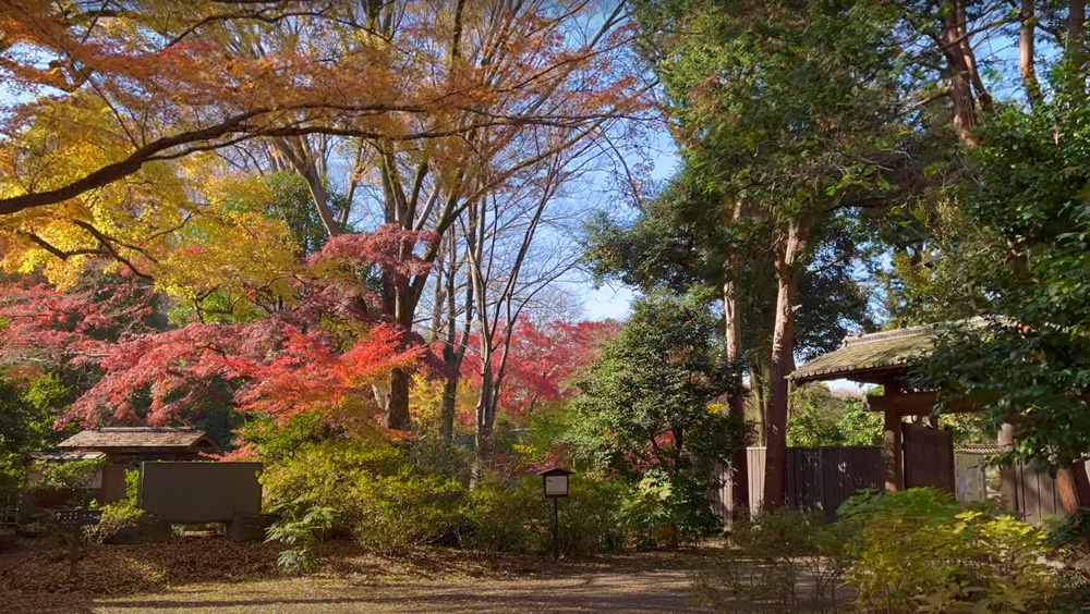 Rikugien Garden