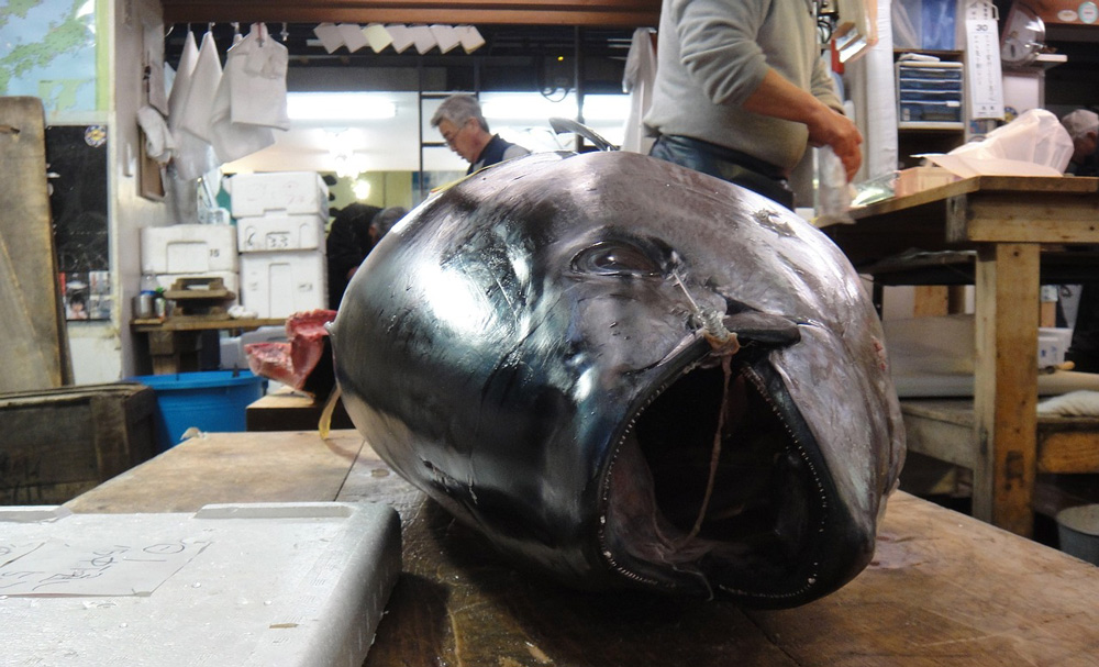 Tsukiji Outer Market: Exploring Tokyo's Culinary Paradise