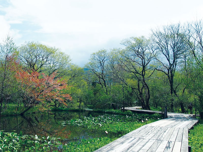 Hakone Botanical Gardens
