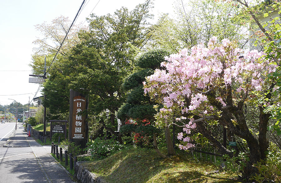 Nikko Botanical Garden: University of Tokyo Research Haven